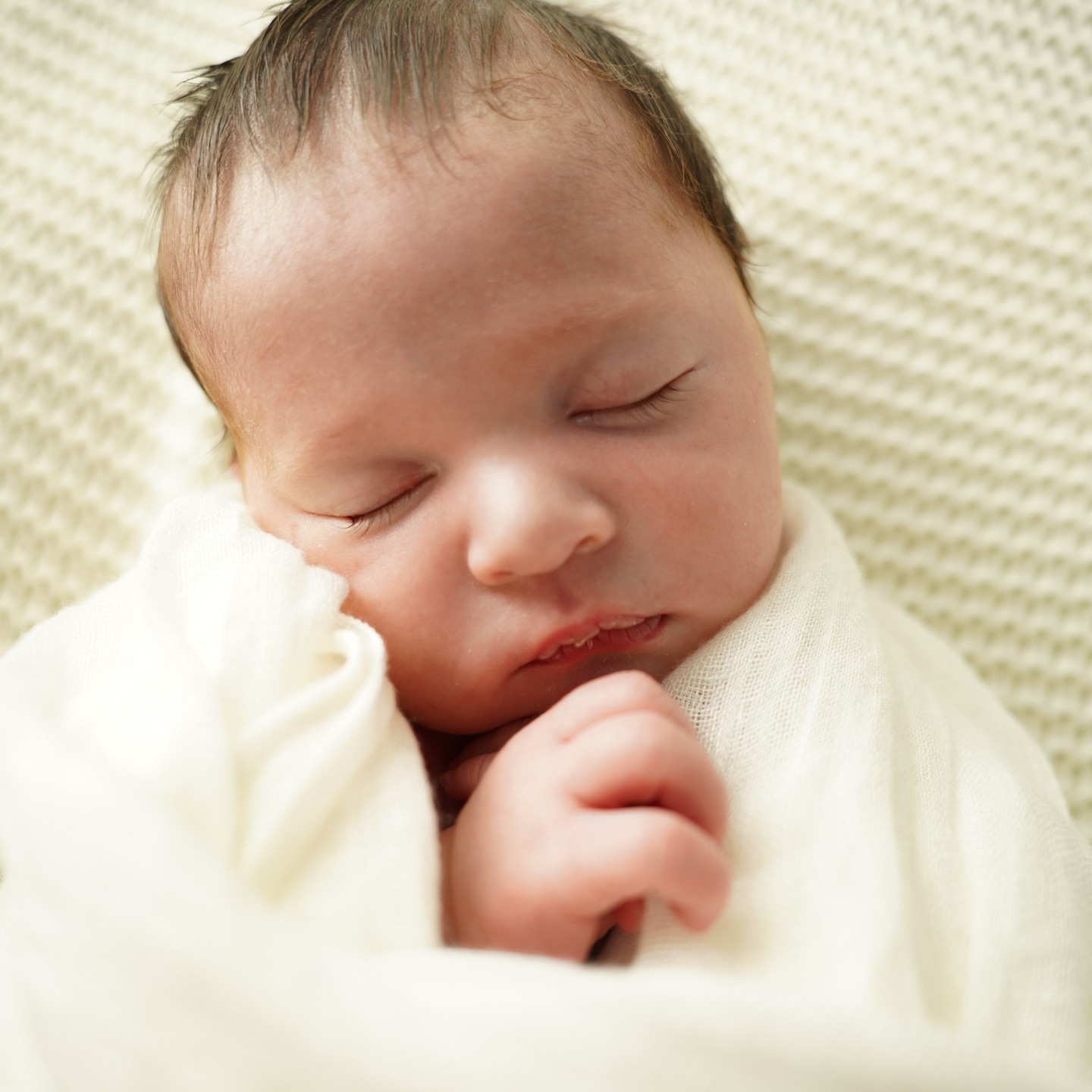 NBギャラリー New Site 4